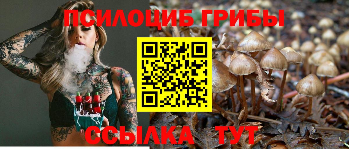 Галлюциногенные грибы MAGIC MUSHROOMS Мыски