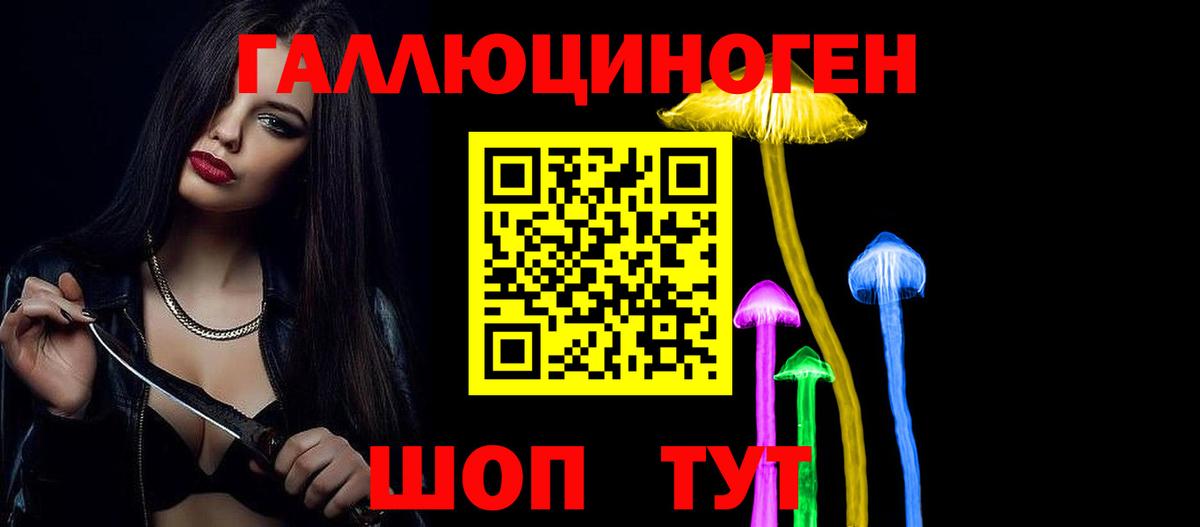 Псилоцибиновые грибы Psilocybe  Вход с VPN  Псилоцибиновые грибы Cubensis  Мыски 
